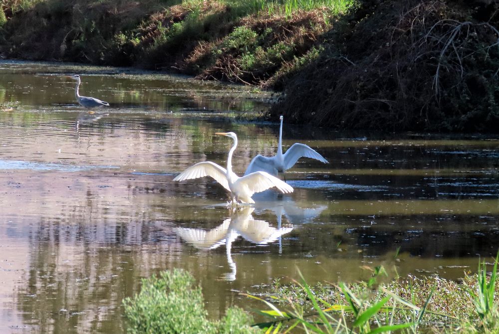 Photograph by Drora Baharal