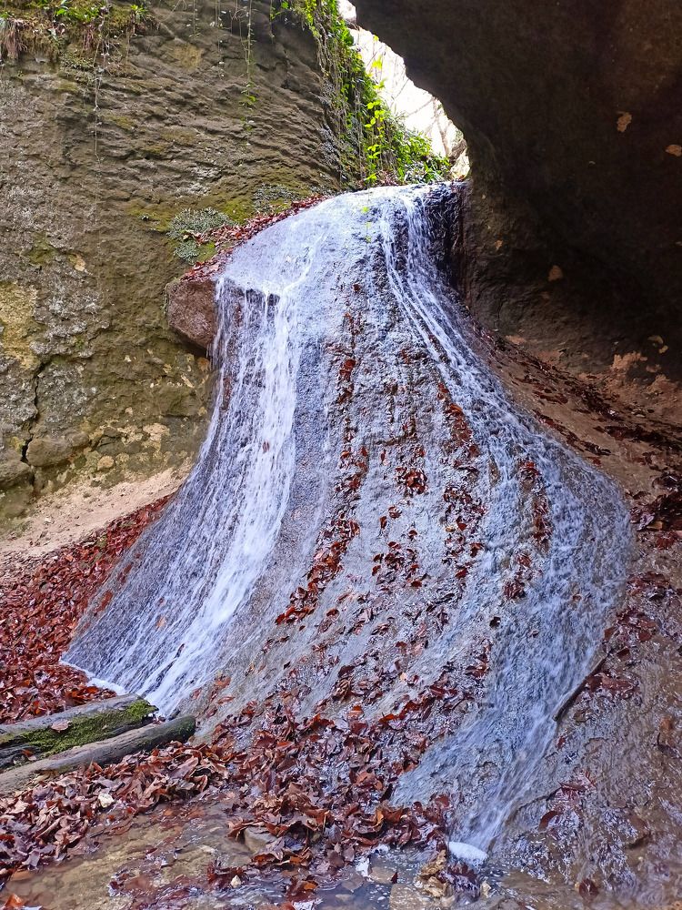 Photograph by Олег Башкуров