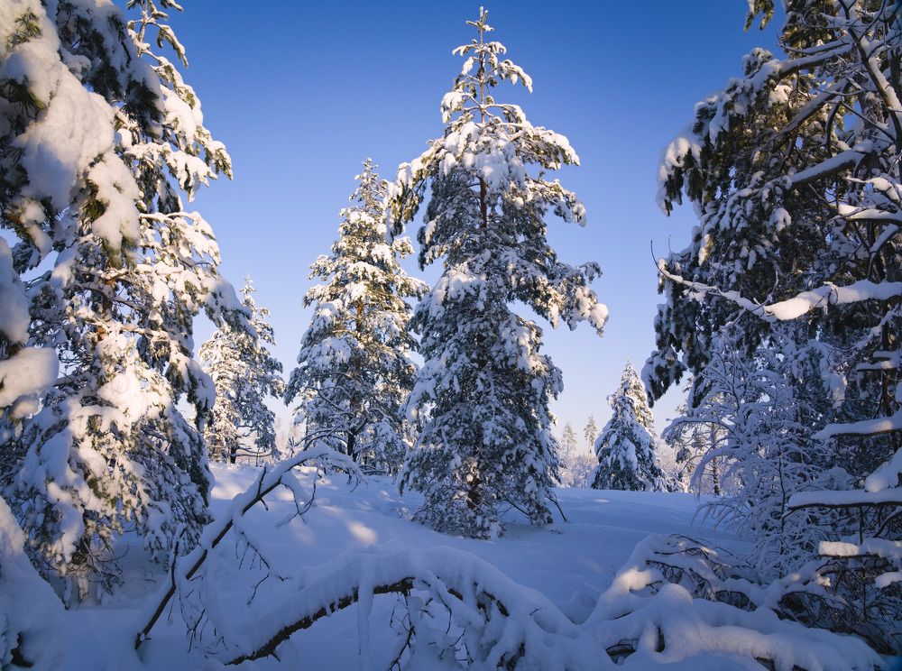 Photograph by Aleksandr Stupnikov