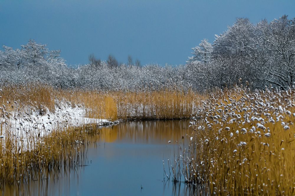 Photograph by Rafał Kowalik