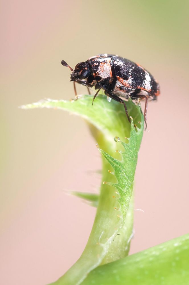 Photograph by Ясинский Юрий