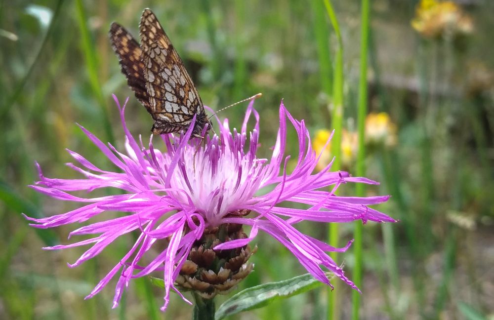 Фотография автора Геннадий Коробов