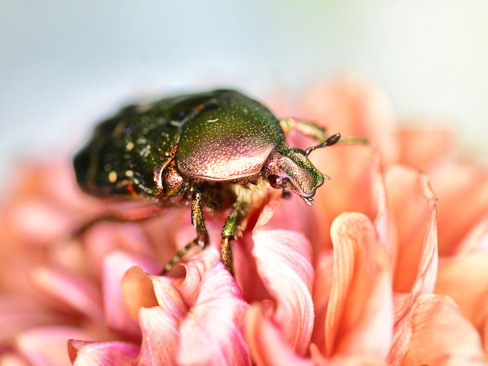 Фотография автора лилия беланова