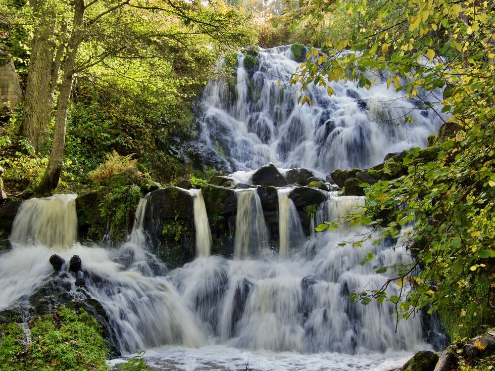 Photograph by Jarl Strömbom
