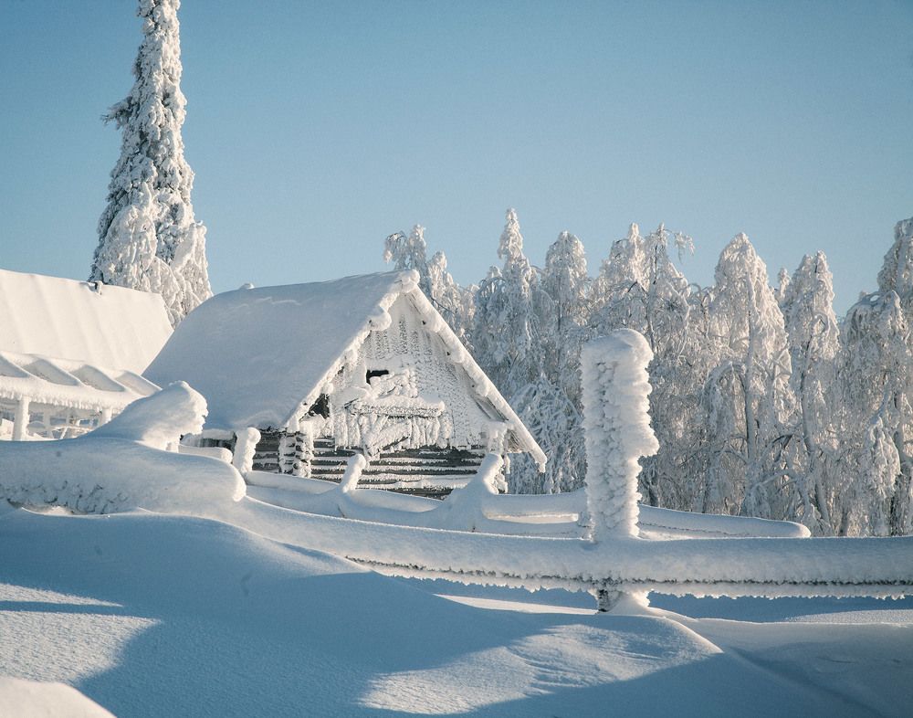 Photograph by Тамара Андреева