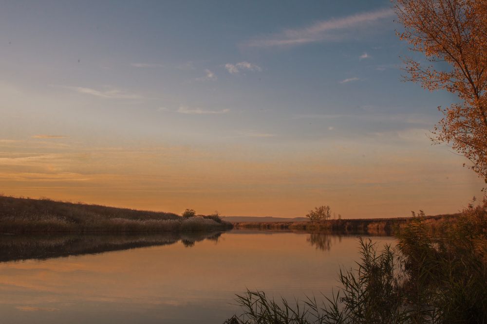 Photograph by Евгения Кузьмичева