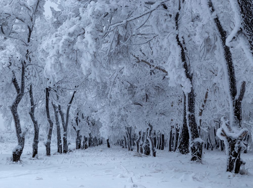 Photograph by Марина Новожилова