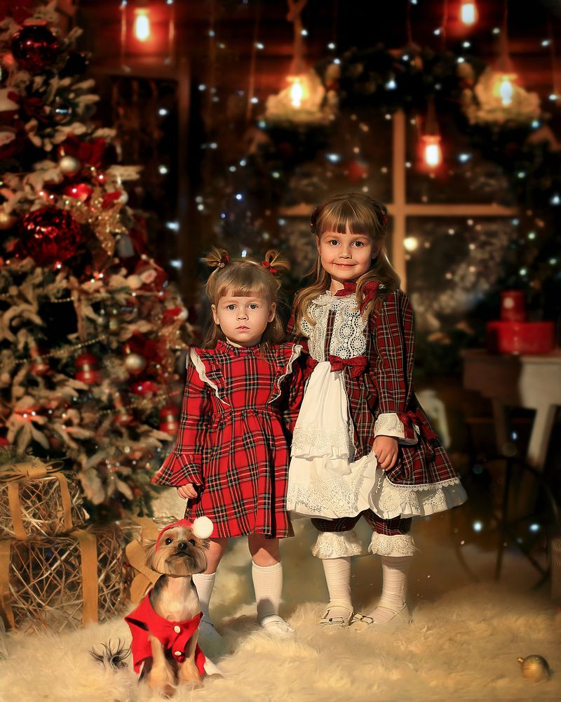 Photograph by Дарья Войтенко