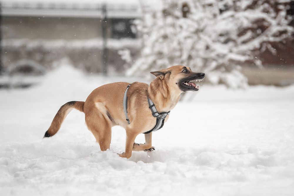 Photograph by Динара