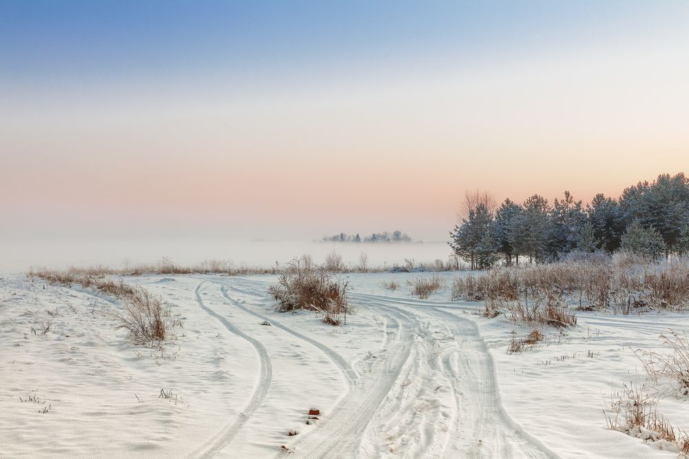 Photograph by Александр Никитинский