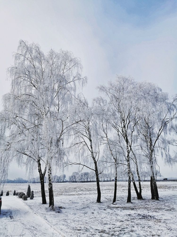 Photograph by Андрей Тур