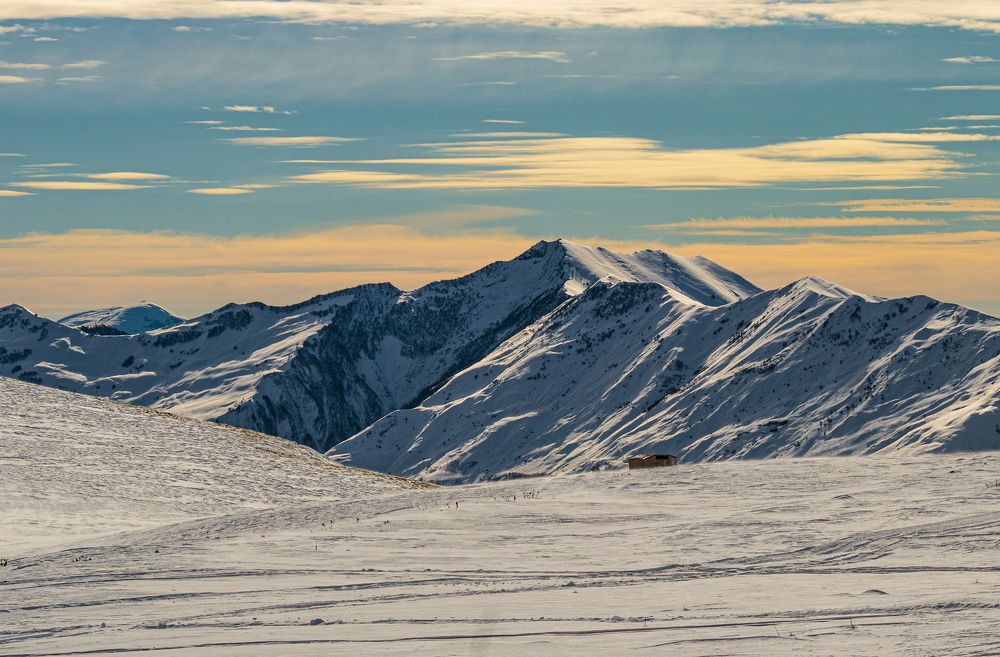 Photograph by Alex Kalpus