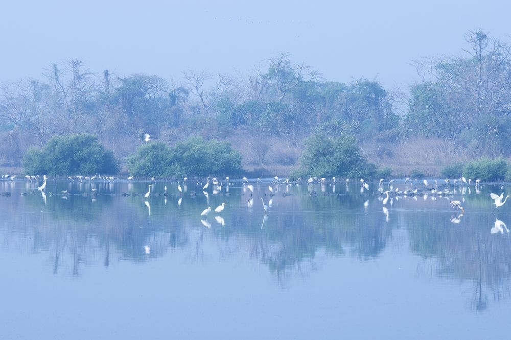 Фотография автора MEGHANAD GANPULE