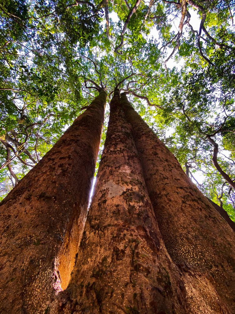 Photograph by Dhananjay Jadhav