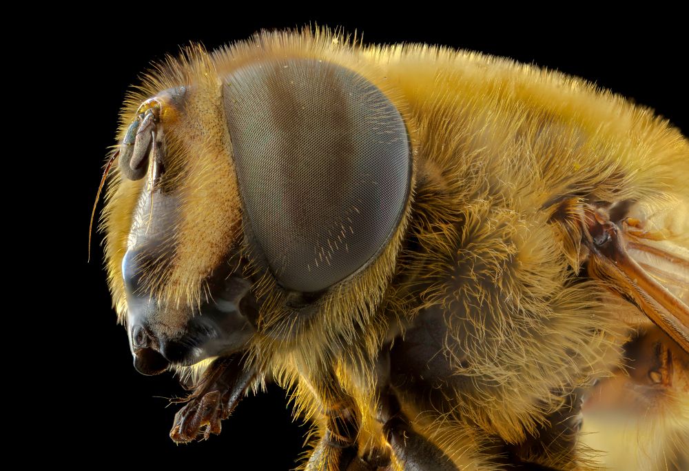 Photograph by Shams Vida