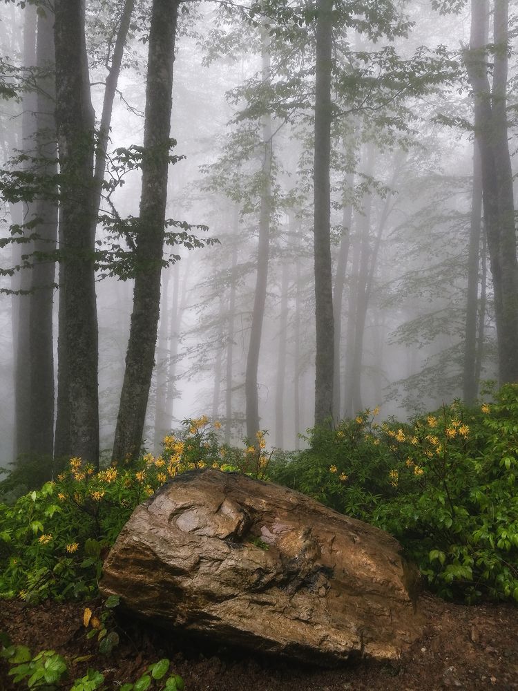 Фотография автора Сергей Сергеев