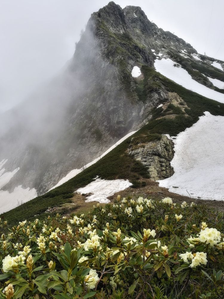 Фотография автора Сергей Сергеев