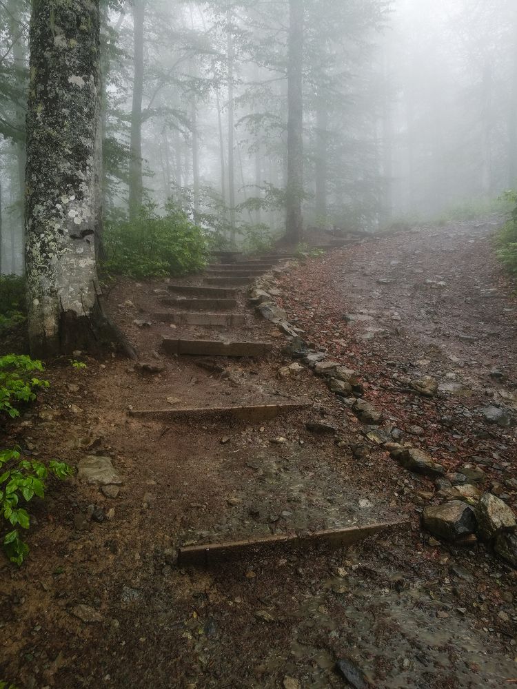 Фотография автора Сергей Сергеев