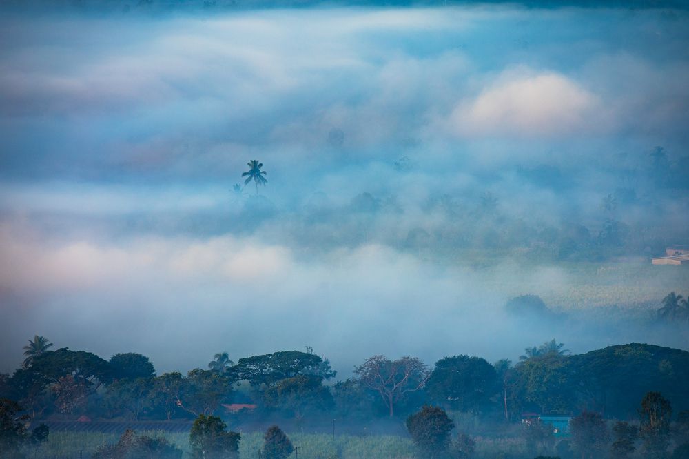 Photograph by Dhananjay Jadhav