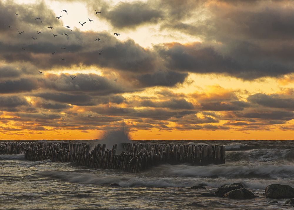 Photograph by Normunds Kaprano