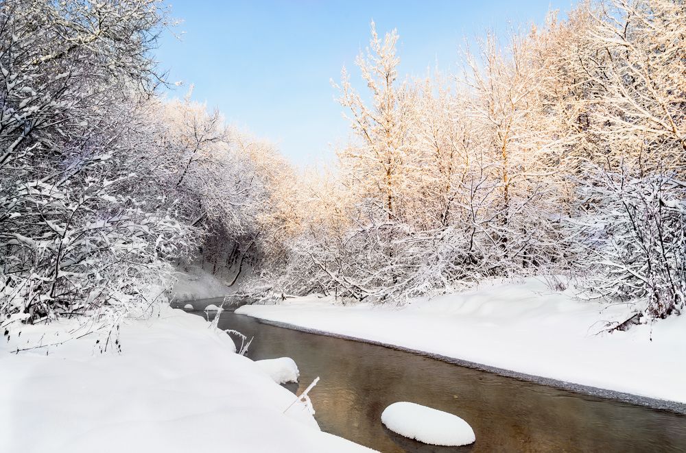 Зимний этюд