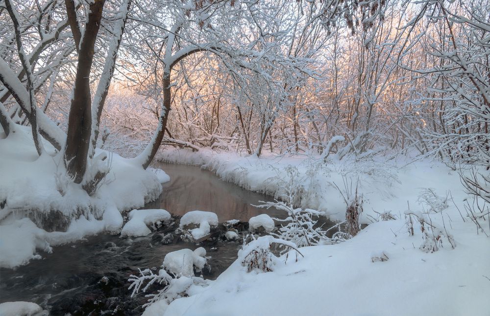 Зимний этюд