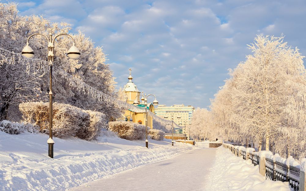 Морозный день декабря