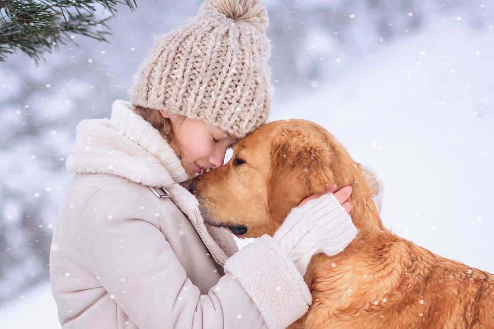 Photograph by Виктория Дубровская