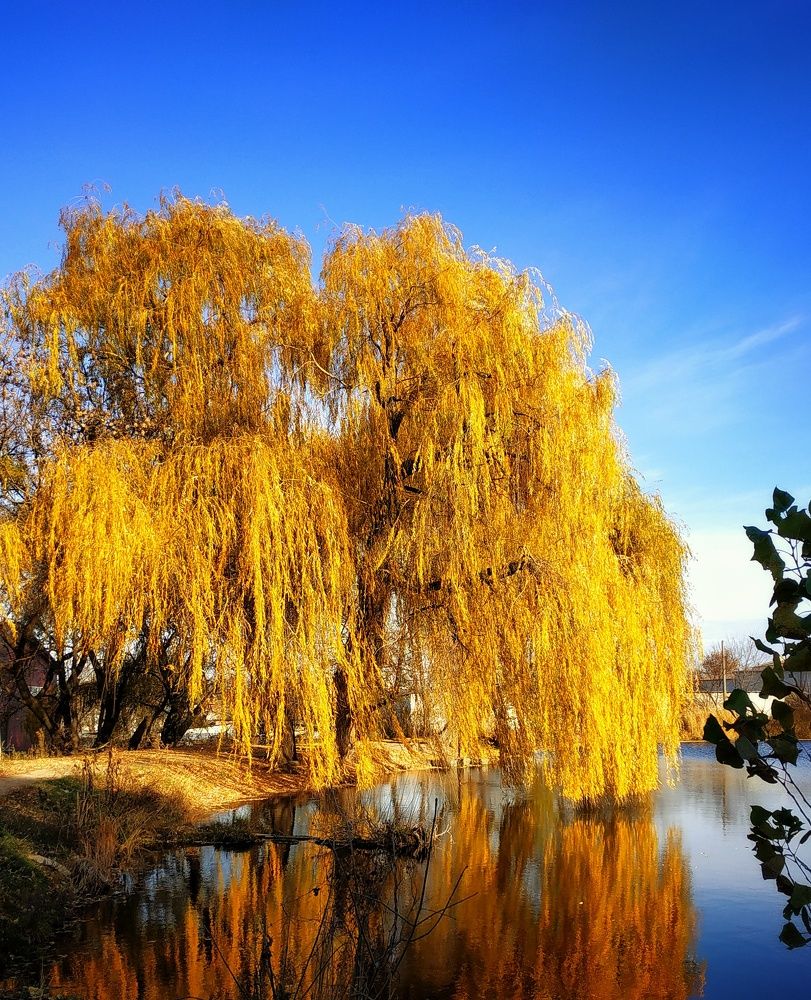 Photograph by Роман