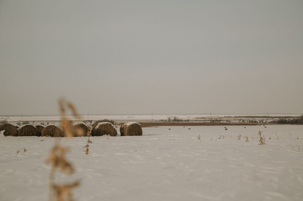 Photograph by Астафьева Ирина