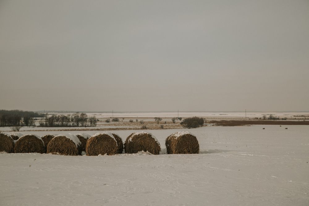 Photograph by Астафьева Ирина