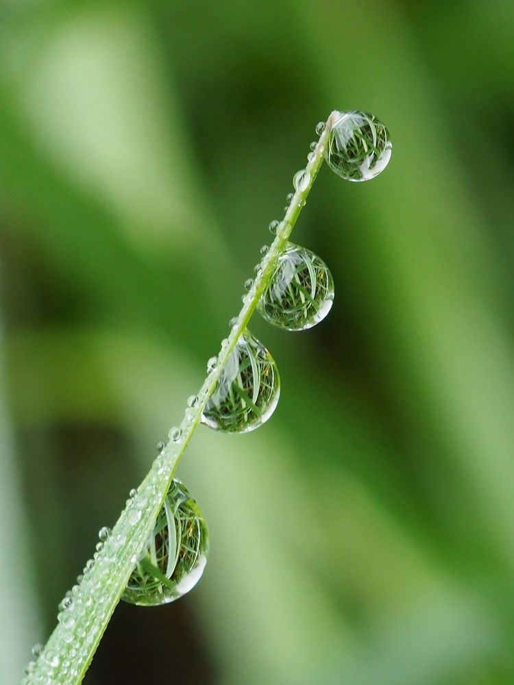 Photograph by Елена Харитонова