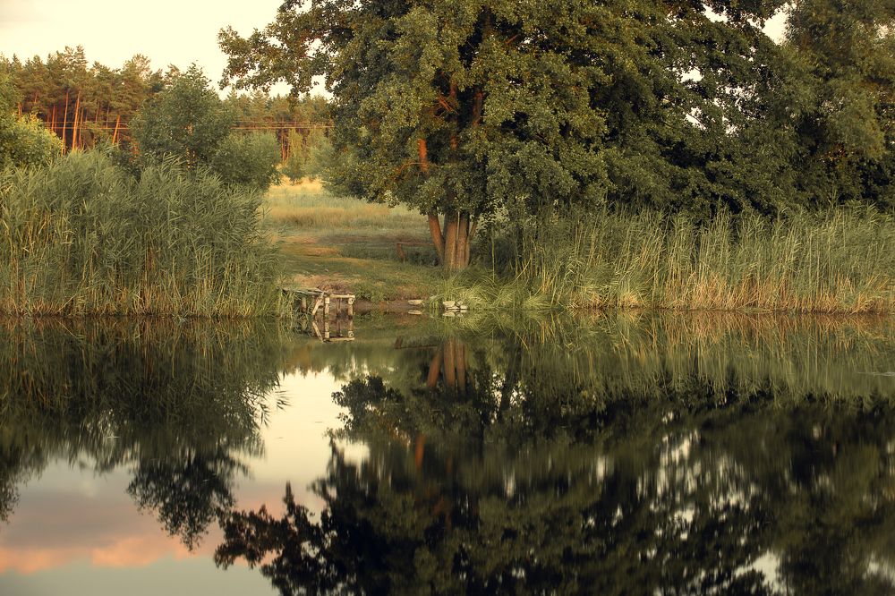 Photograph by Галина Полищук