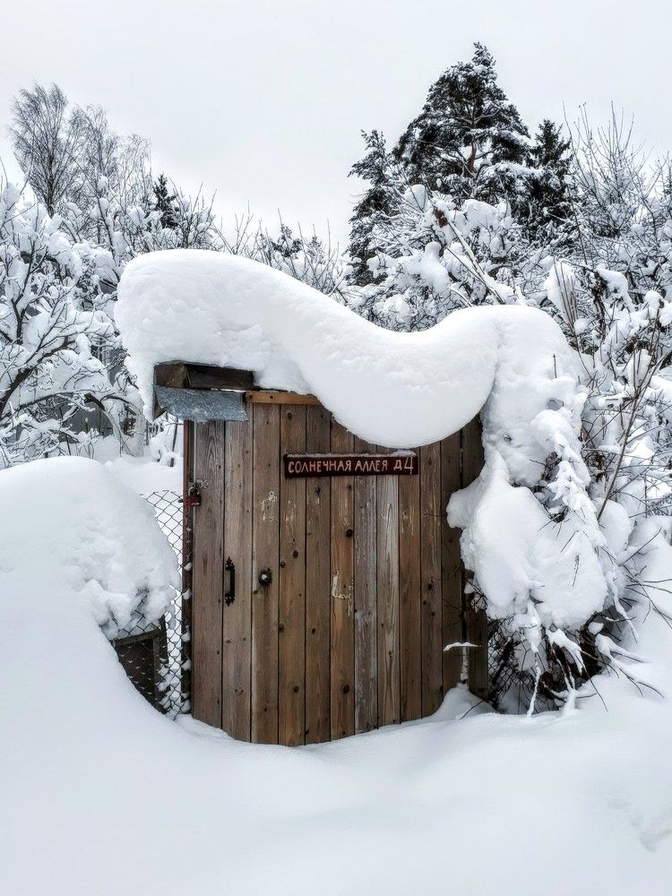 Photograph by Надежда Кудрявцева