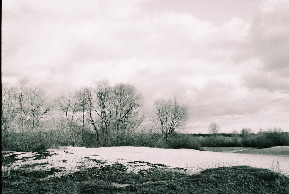 Photograph by Дмитрий Жуков