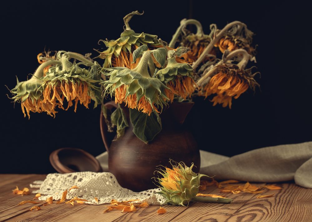 Photograph by Галина Полищук