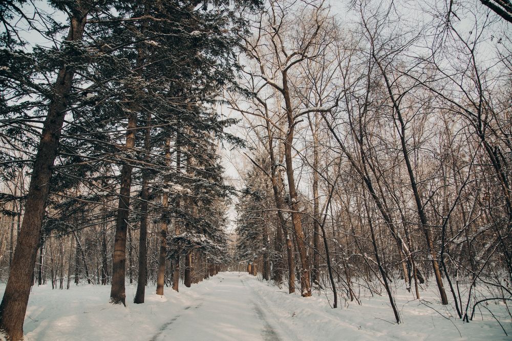 Photograph by Астафьева Ирина