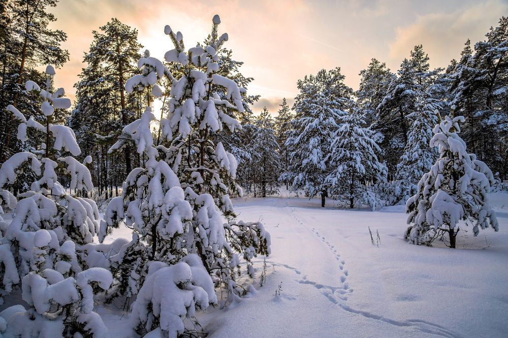 Photograph by Владимир Карпов