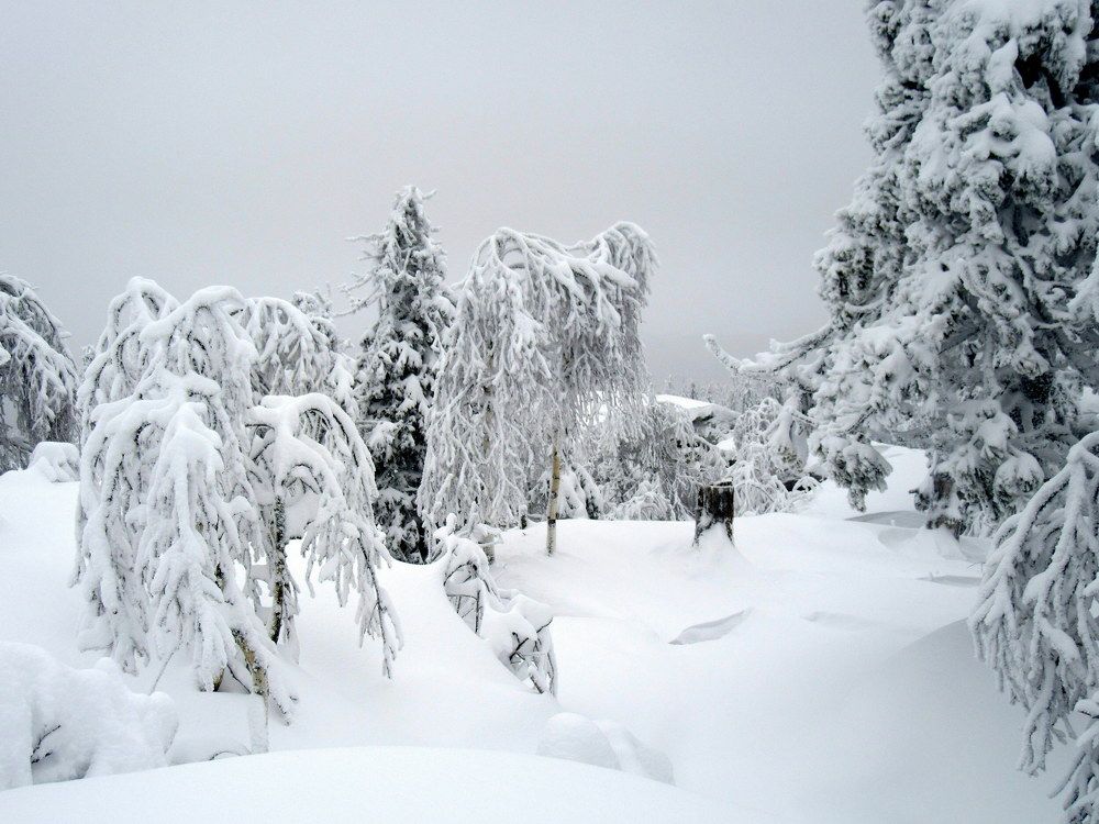 Photograph by Ирина Осипова