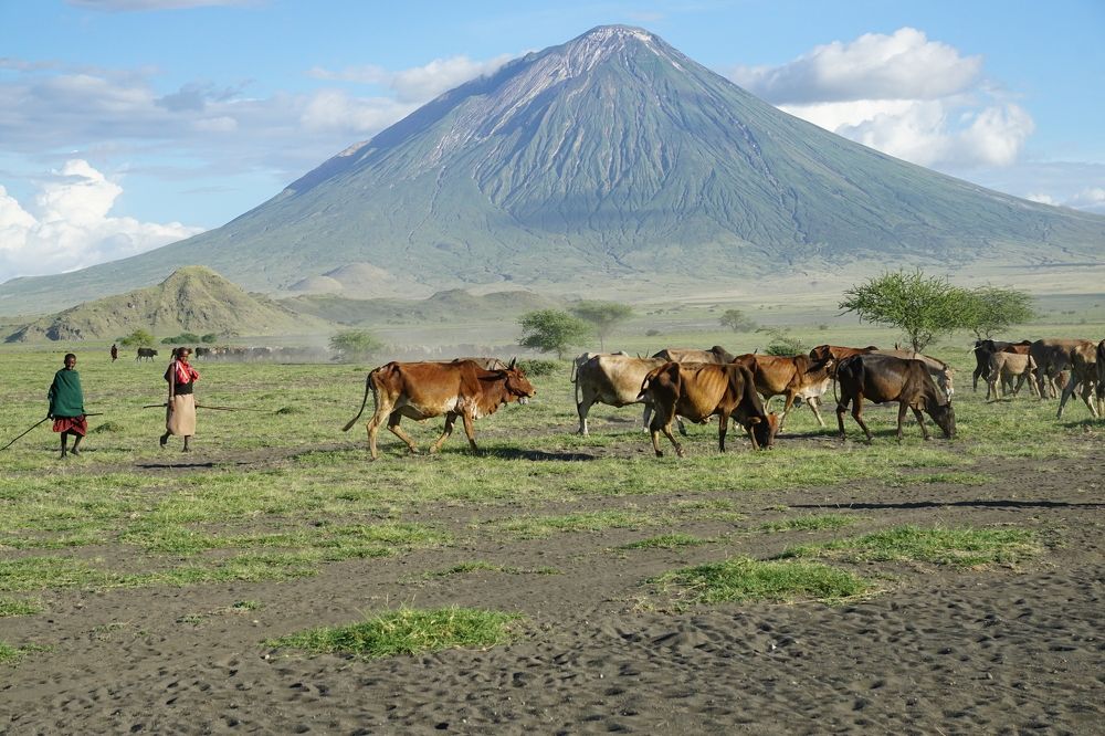 Masai tribe at lake Natron