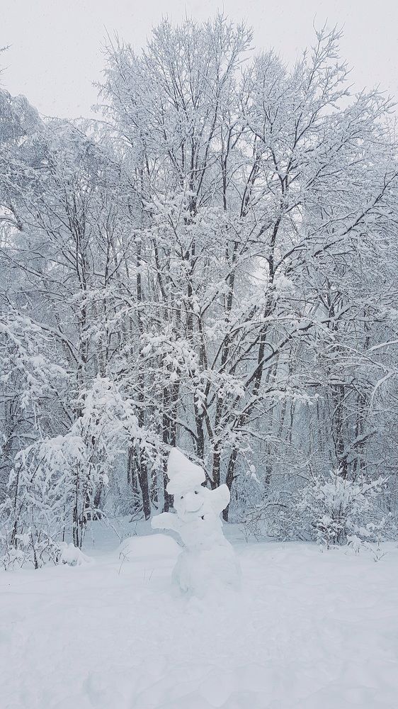 Photograph by Oxana Maiorova