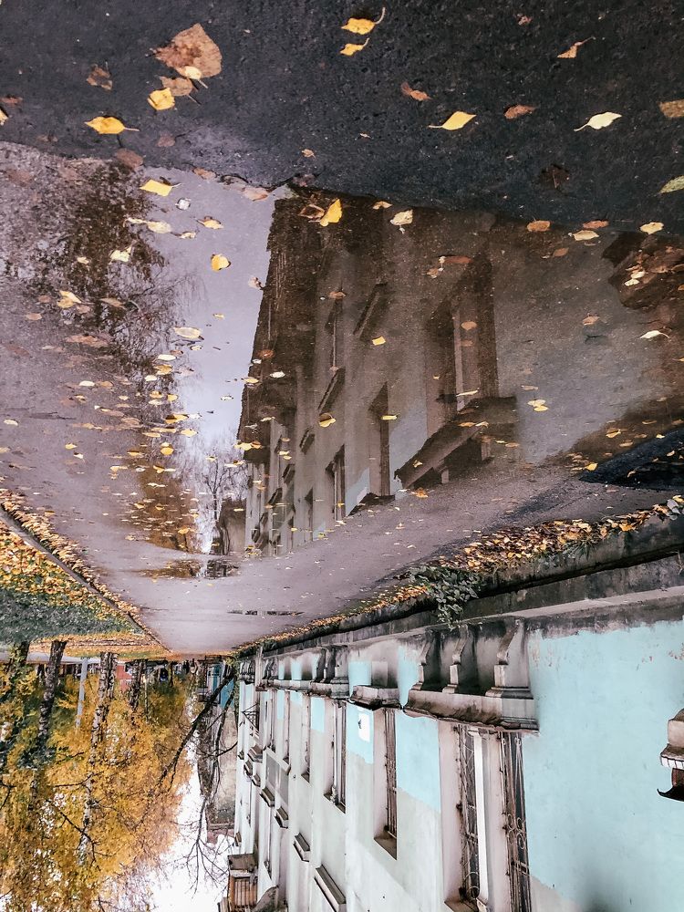 Photograph by Альбина Баташова