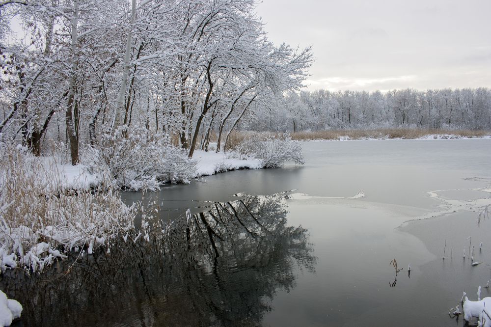 Photograph by Нелли Золотая