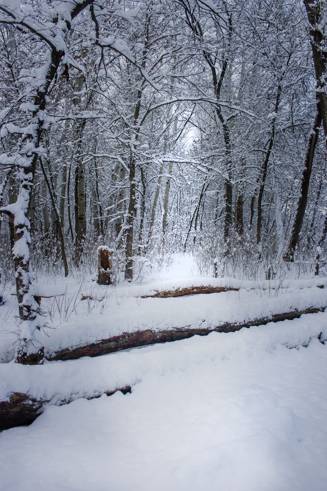 Photograph by Нелли Золотая