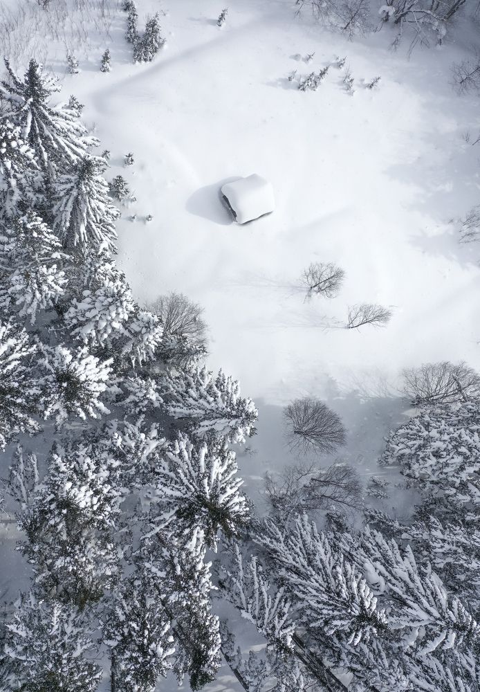 Photograph by Игорь Дудковский