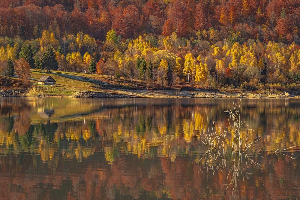 Photograph by Catalin Lazar