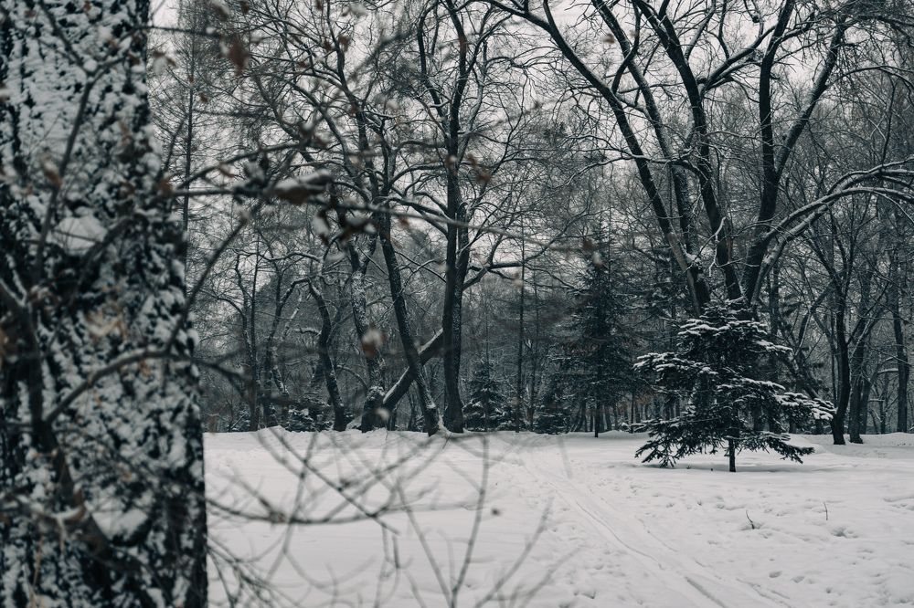 Photograph by Астафьева Ирина