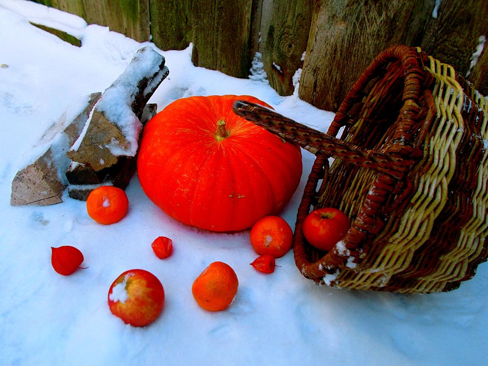 Photograph by Ирина Пичугина