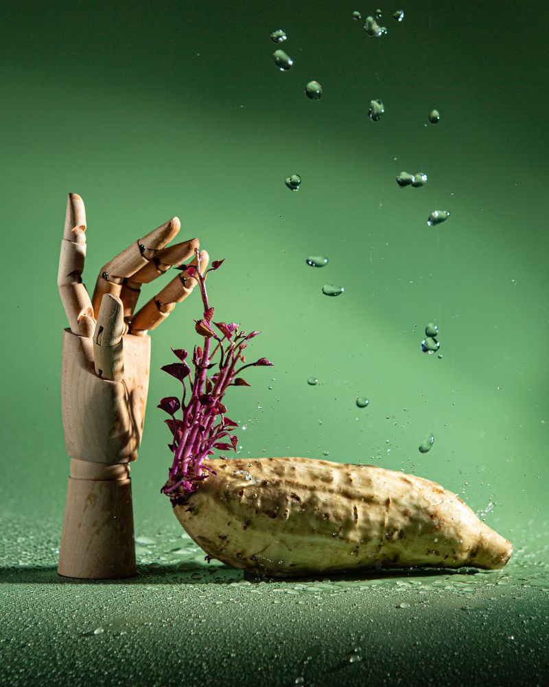 Me and my pet vegetable