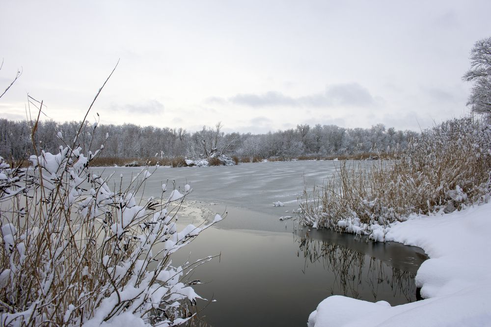 Photograph by Нелли